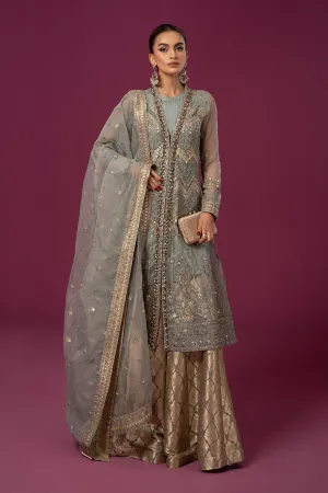 3 Piece Embroidered Net Suit | SF-EF24-28