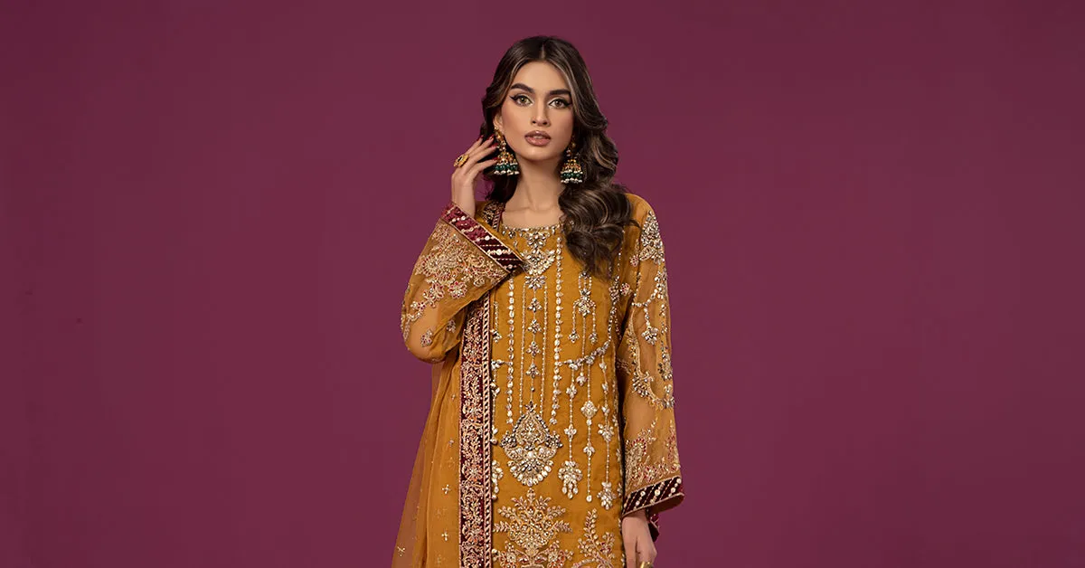 3 Piece Embroidered Organza Suit | SF-EF24-45