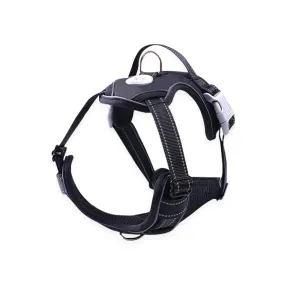 Adjustable Reflective Dog Harness, Padded, Black, M | FLOOFI