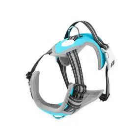 Adjustable Reflective Dog Harness XXL, Blue - FLOOFI