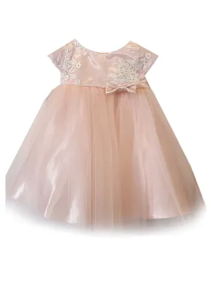 Baby Girls Blush Embroidered Satin Tulle Flower Girl Dress 6-24M