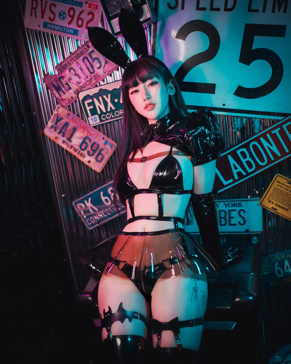 Cyber Bunny Set