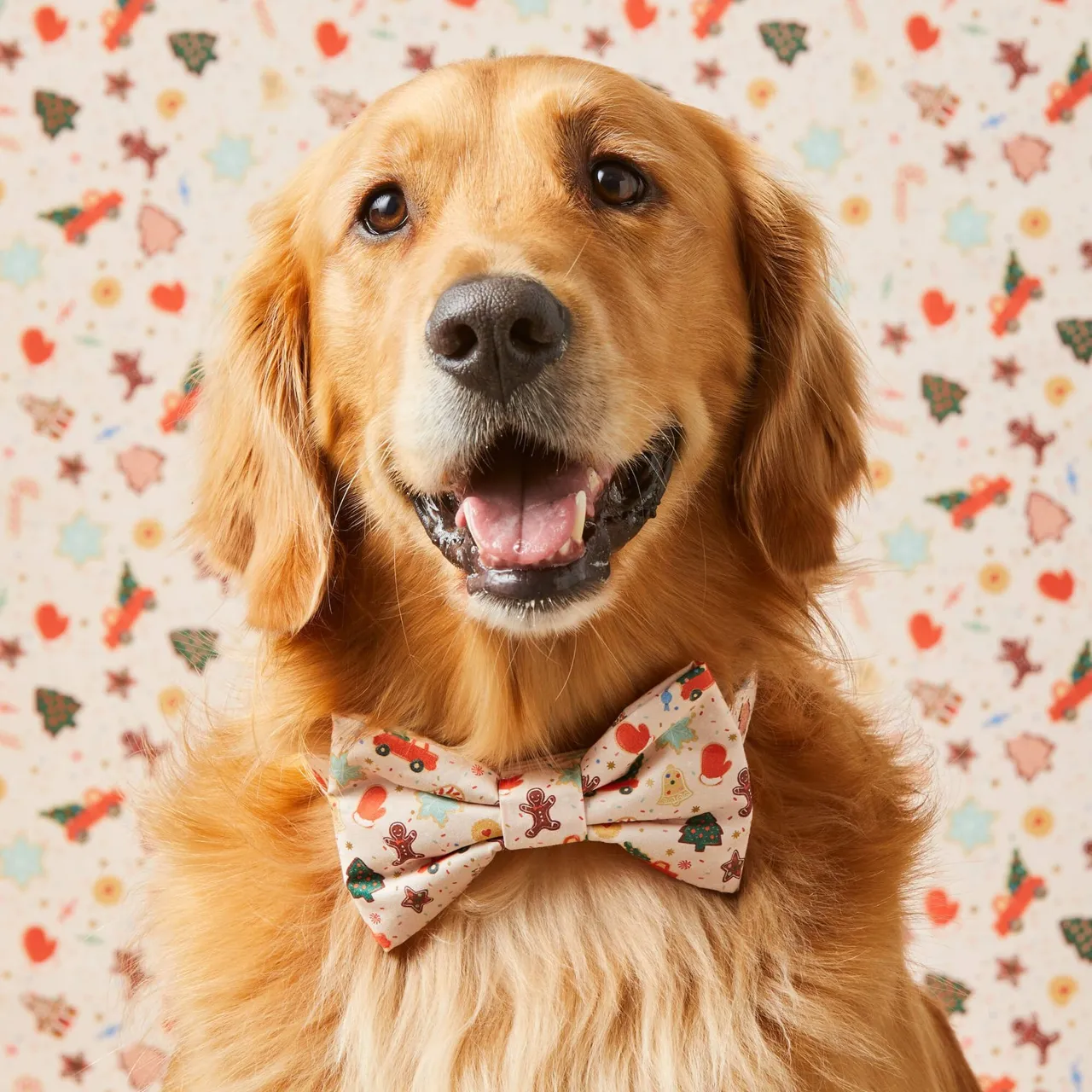 Dog and Cat Bowtie: Rifle Paper Co. x TFD Holiday Cookies