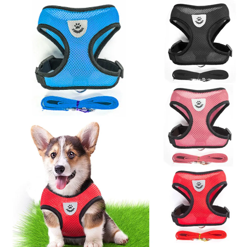 Everyday Harness - Small Dogs (No Pull)