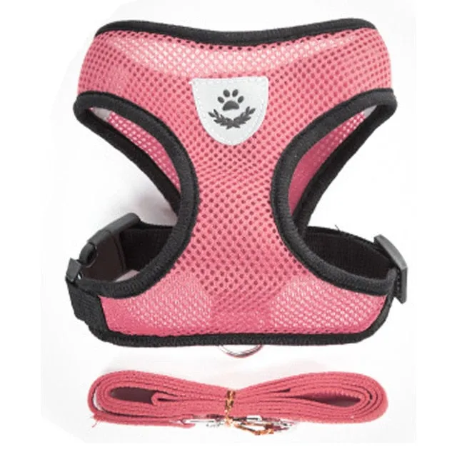 Everyday Harness - Small Dogs (No Pull)