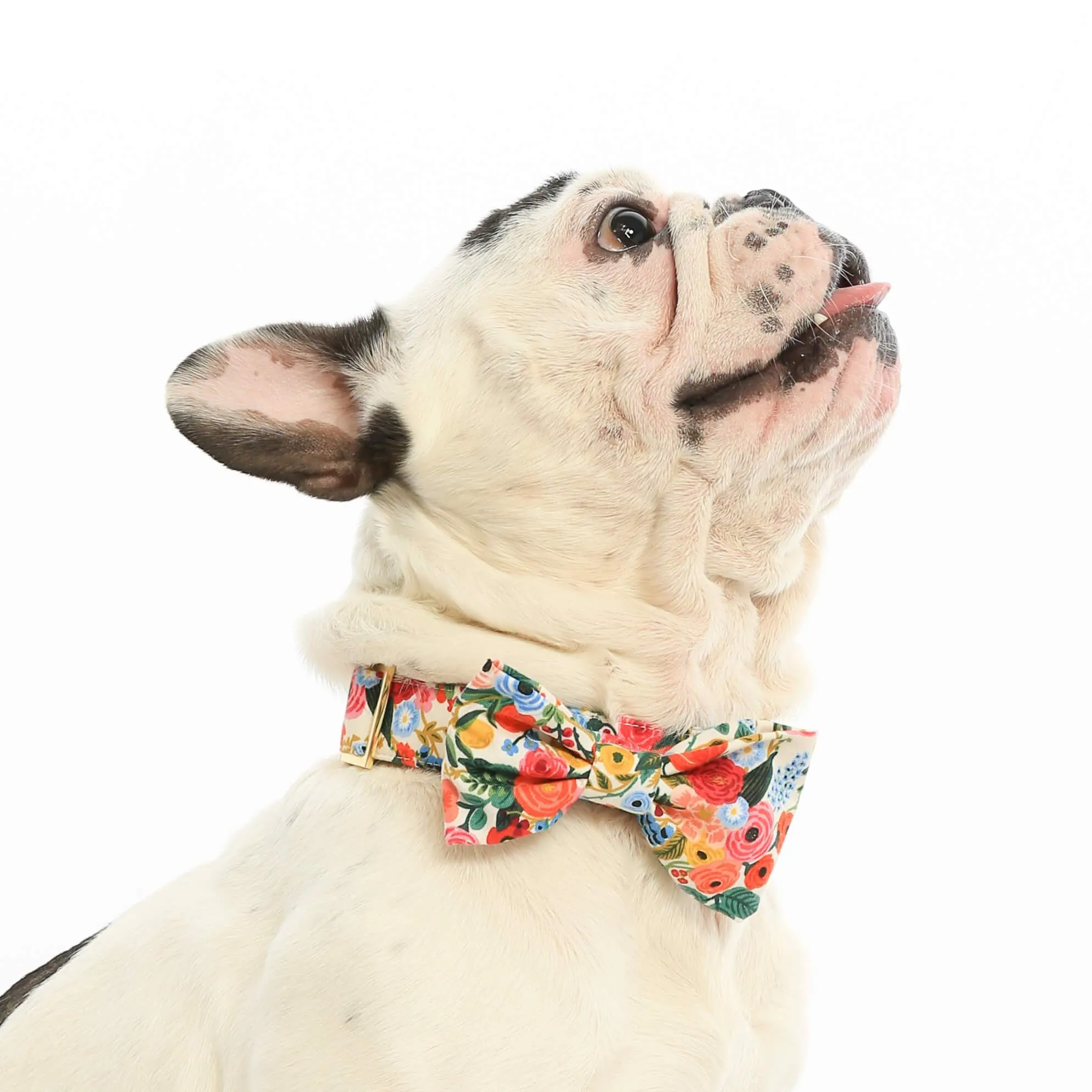 Rifle Paper Co. x TFD Garden Party Bow Tie Collar