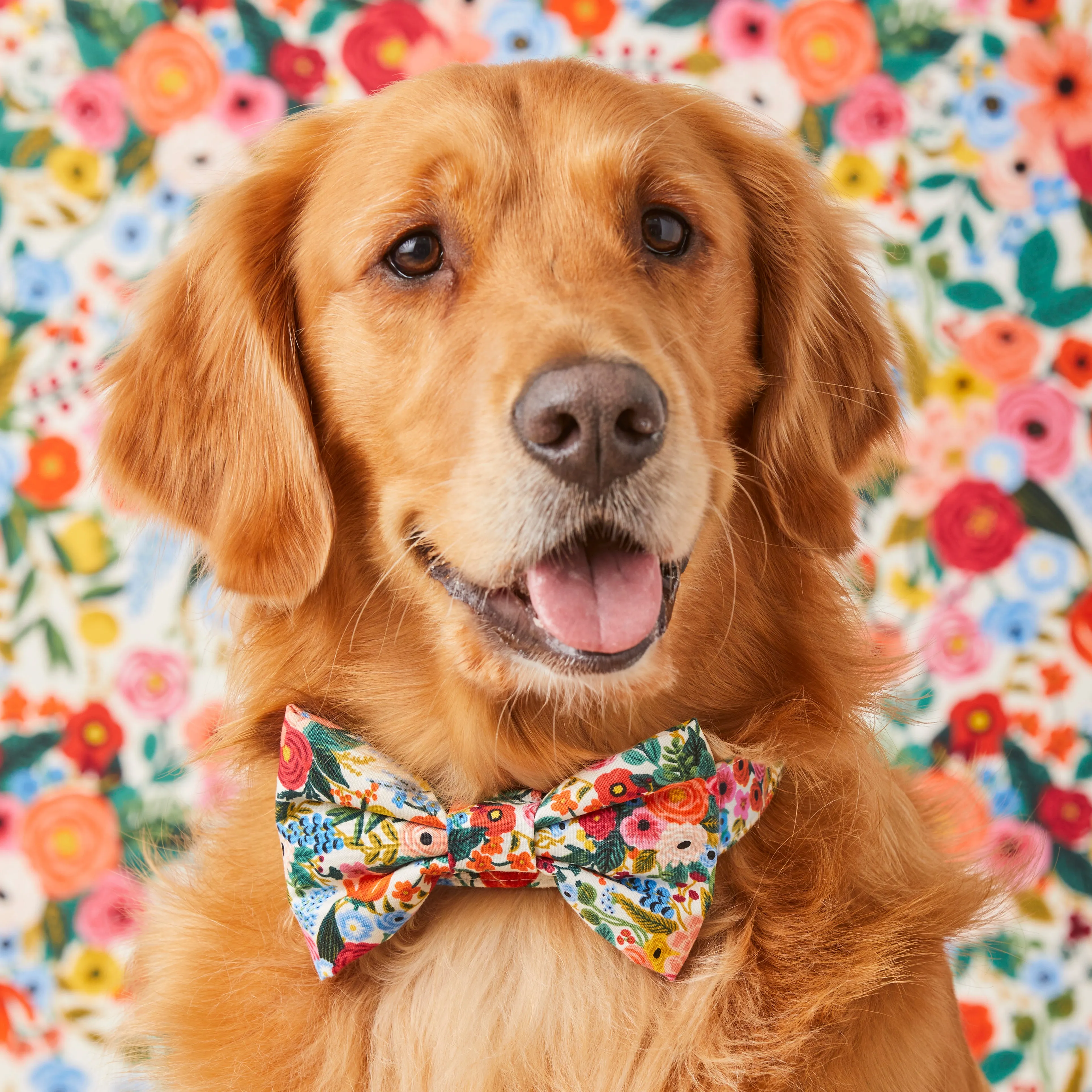 Rifle Paper Co. x TFD Garden Party Bow Tie Collar