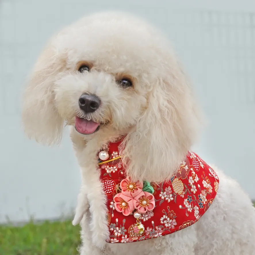 Spring Imperial CNY Cape with White Fur Trimmings